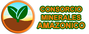 mini logo conminam